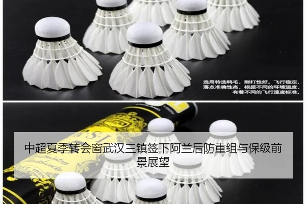 zhong-chao-xia-ji-zhuan-hui-chuang-wu-han-san-zhen-qian-xia-a-lan-hou-fang-chong-zu-yu-bao-ji-qian-jing-zhan-wang-3-281.jpg